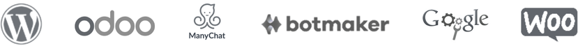 Google Woo Partner